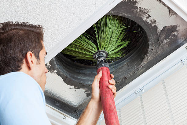 Best Home Air Vent Cleaning  in Swansea, IL